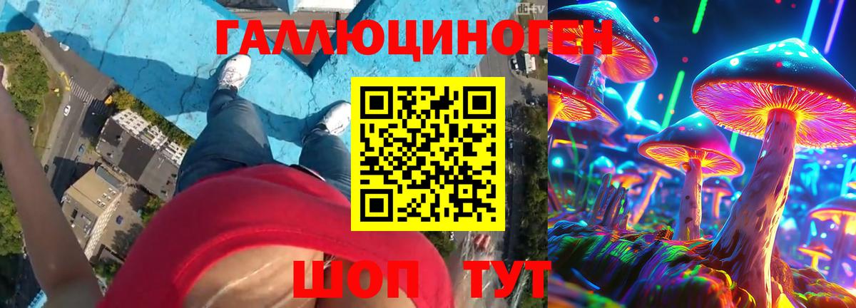 Псилоцибиновые грибы Psilocybine cubensis Анапа